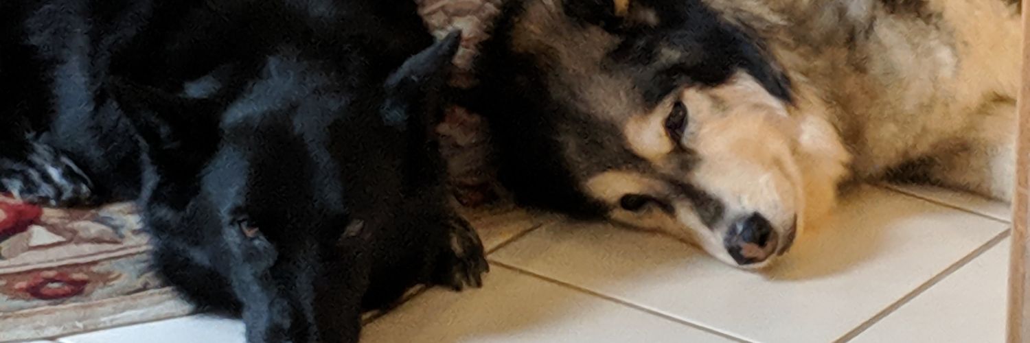 Steve W banner