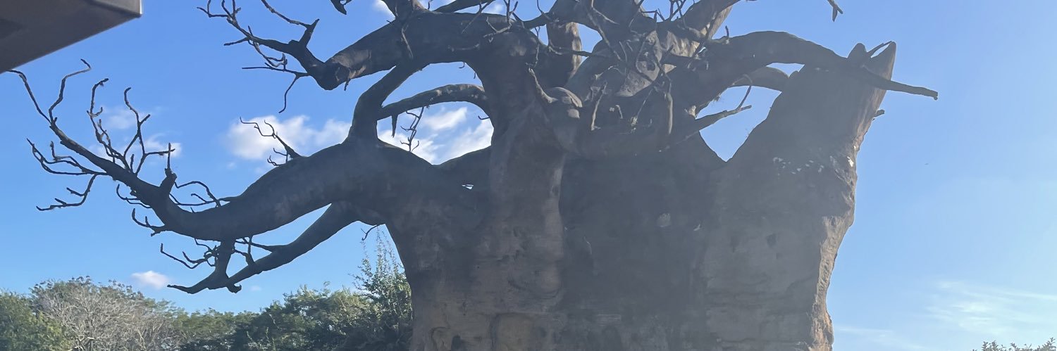 ChicaritoHenry's profile banner image