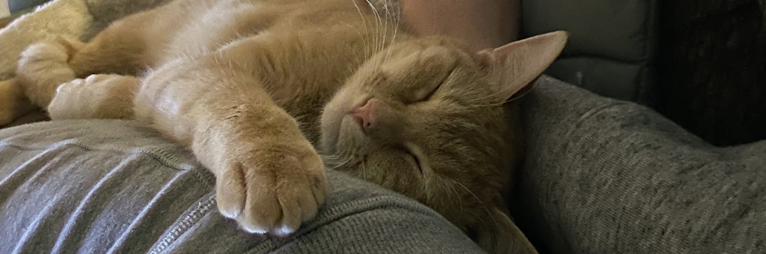 MarieeLuciee's profile banner image