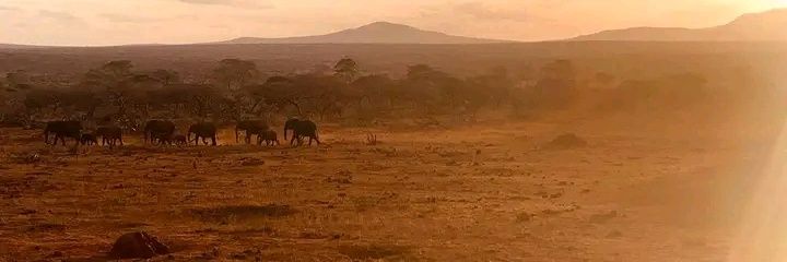 LESHAN _OLAKIRAI 🇰🇪 🇺🇸 banner