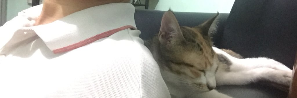 off666side's profile banner image
