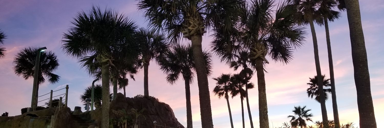 Taybow_'s profile banner image