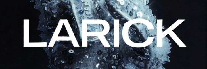 _Larick's profile banner image