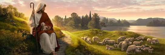 tag9876543210 banner