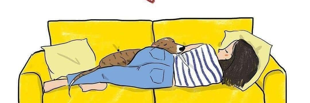MBravissima's profile banner image