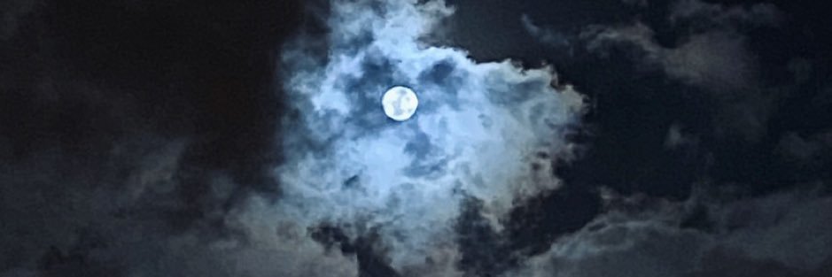 ashwaa83's profile banner image