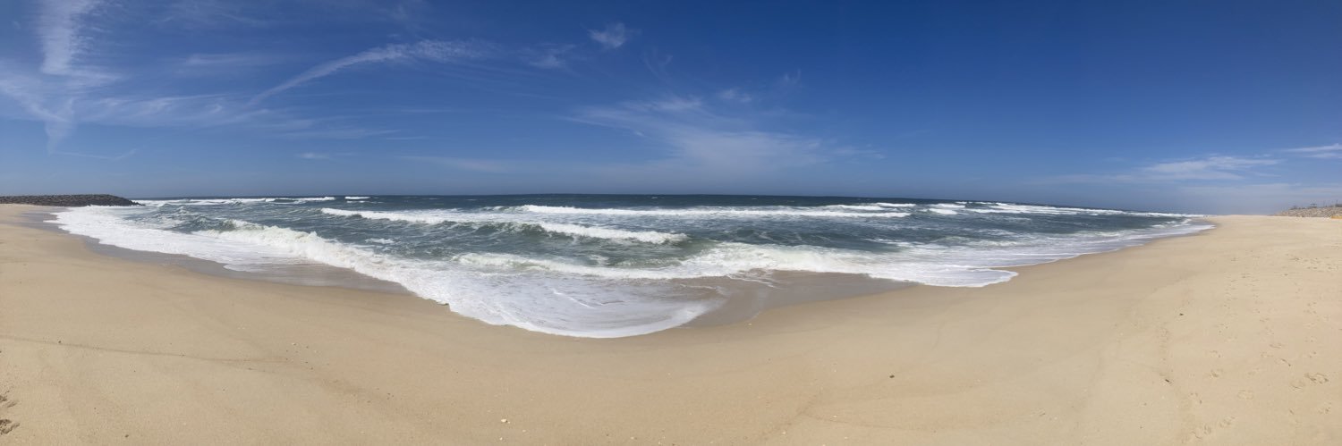 Beatriz de Tapia Majado banner