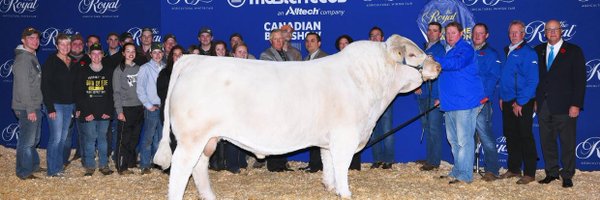 ChesterTupling Profile Banner