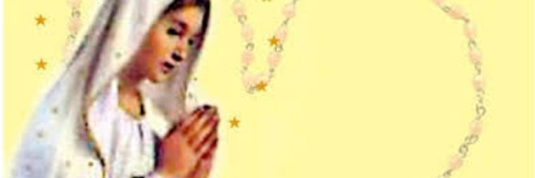 Jenn Evardone banner