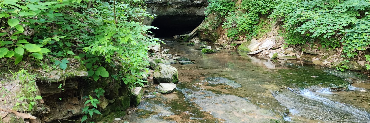 Serenity Johnson banner