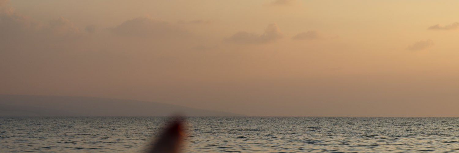 د's banner