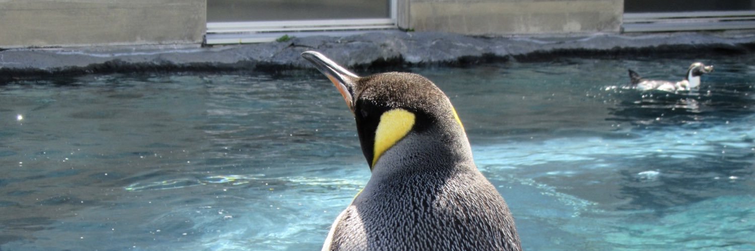 OpenGuin（おぺん） banner