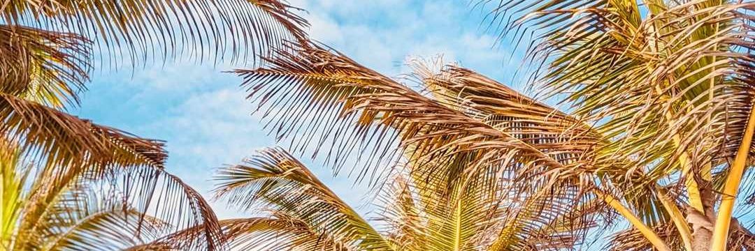 Pacisymbol23's profile banner image