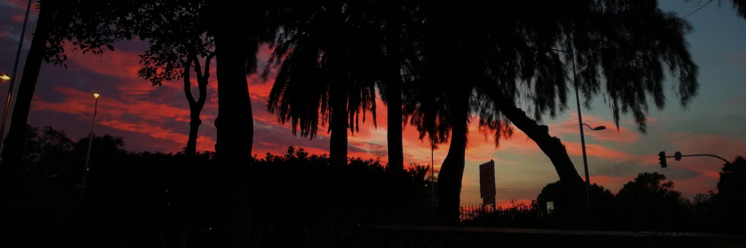 alidale__'s profile banner image