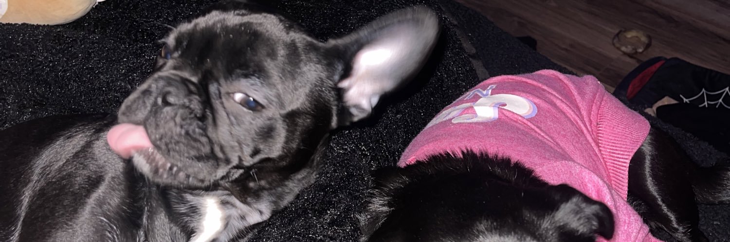 jessbryxnt's profile banner image