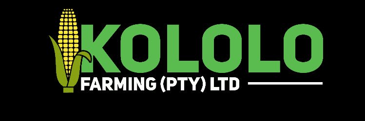 SinaKololo's profile banner image