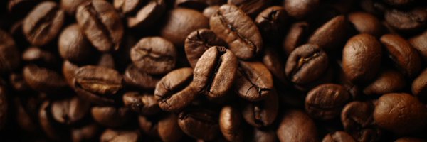 wp0821pt Profile Banner