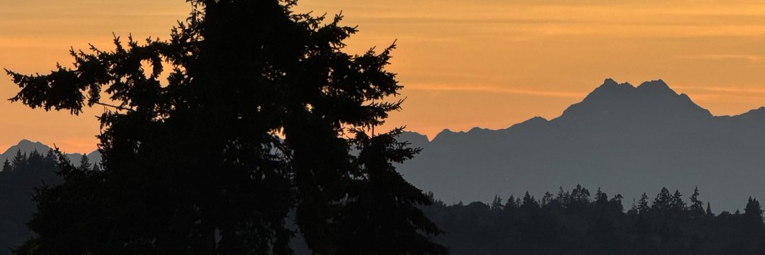 PunterJeffses's profile banner image