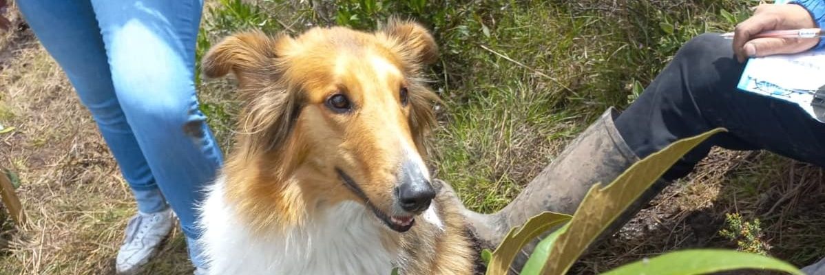 EdisonLinaresM's profile banner image