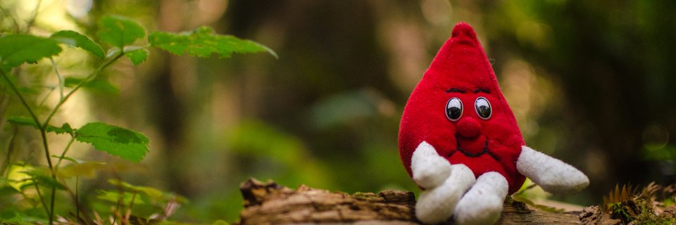 NCCBB's profile banner image