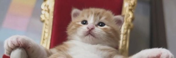 vrc_Lang Profile Banner