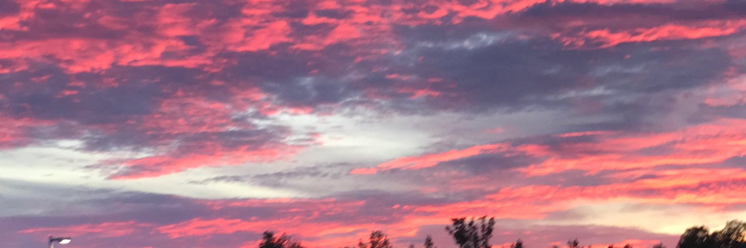 CamillaKeever's profile banner image