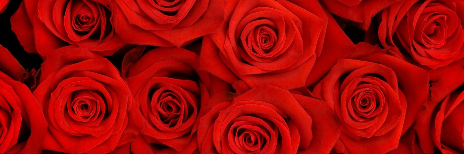RosseColucci_RC's profile banner image