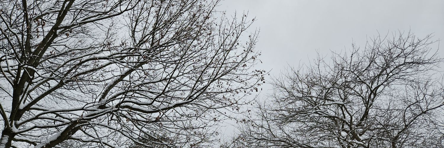 ClaireGoverts's profile banner image