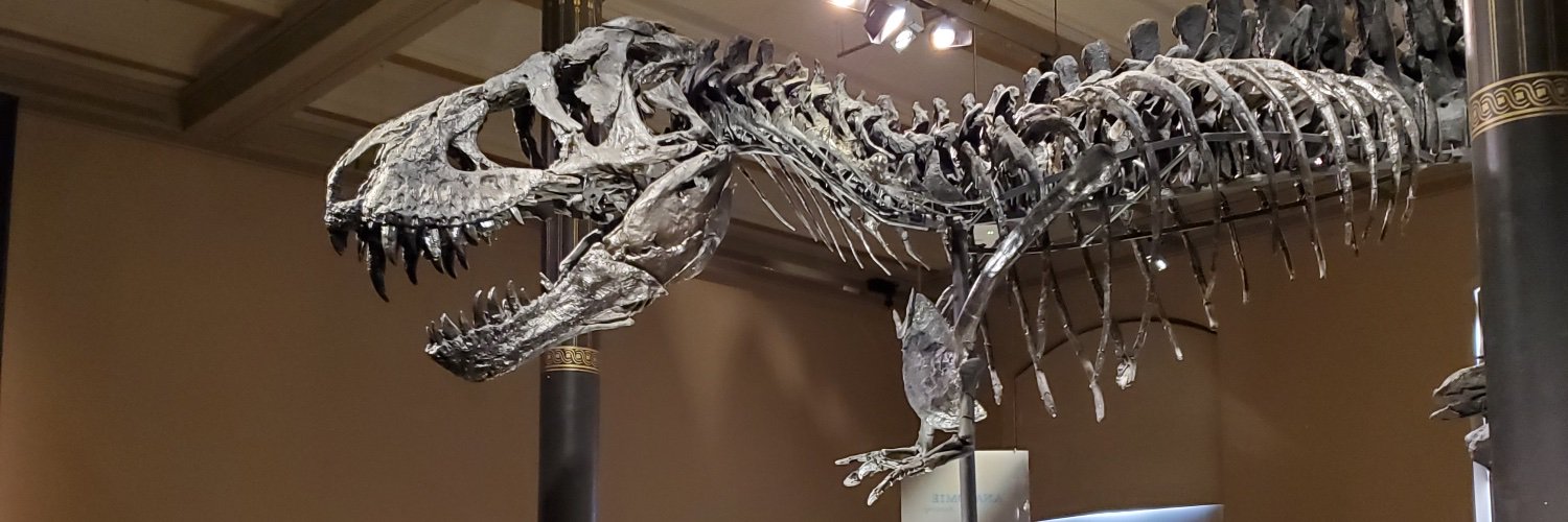 Victoria Jaggard banner