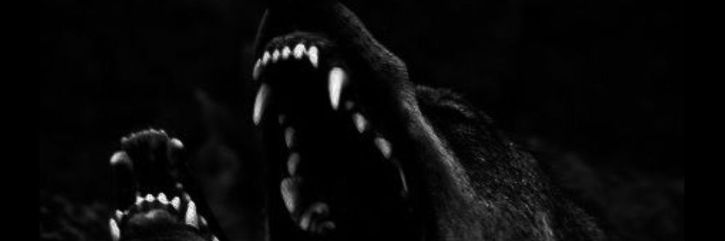 Ramsay Bolton banner