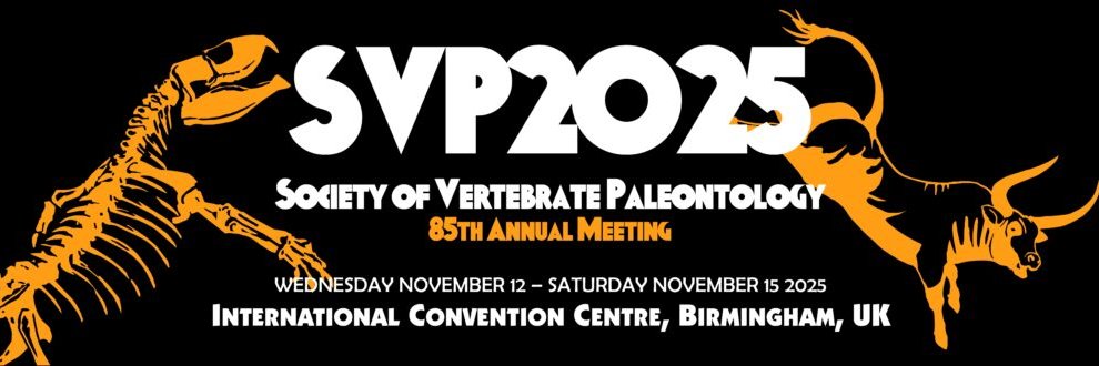 SVP's banner