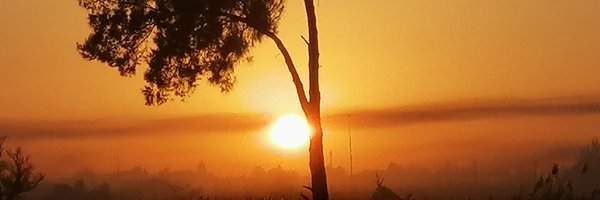 Roshnee13 Profile Banner
