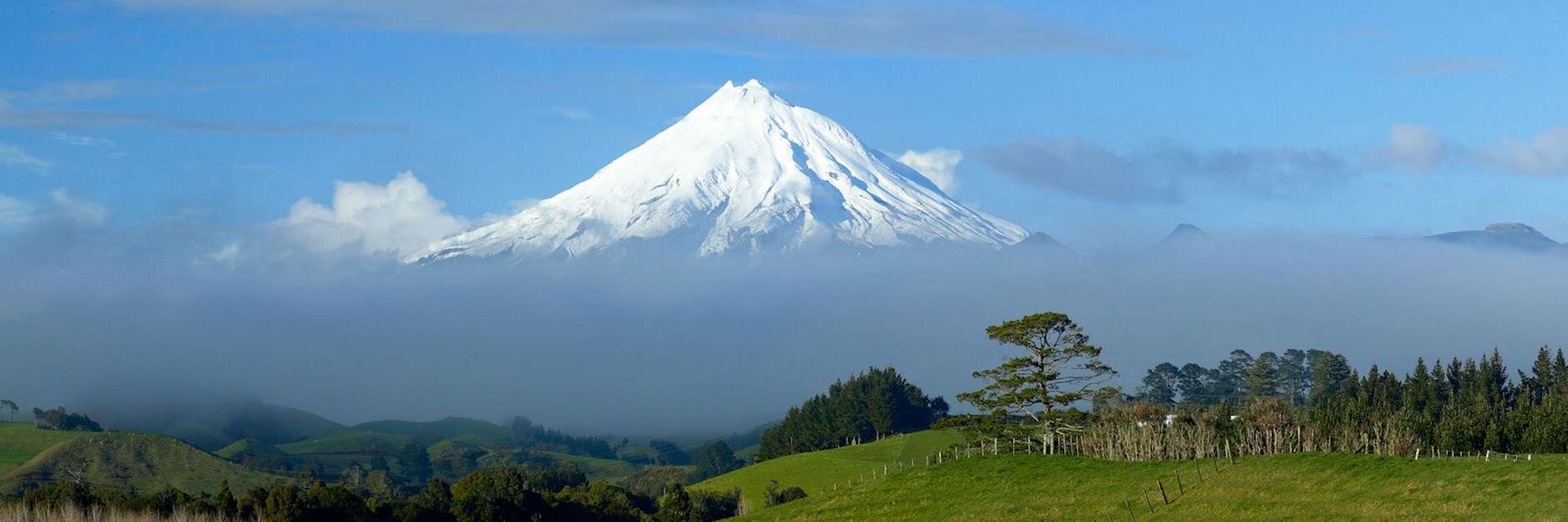 Catriona Oldershaw banner