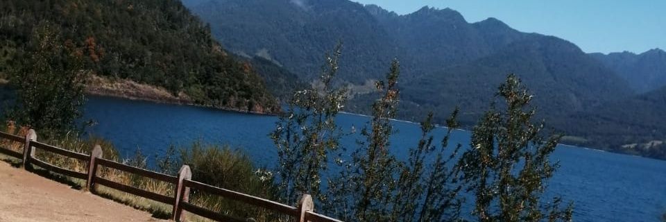 flore_ivan's profile banner image