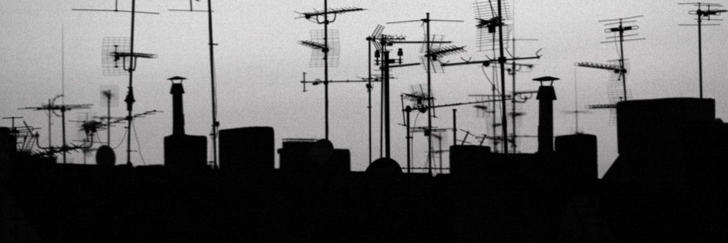 Alex Ojeda Copa banner