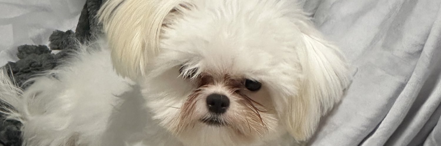 PHILLIP_A_8's profile banner image