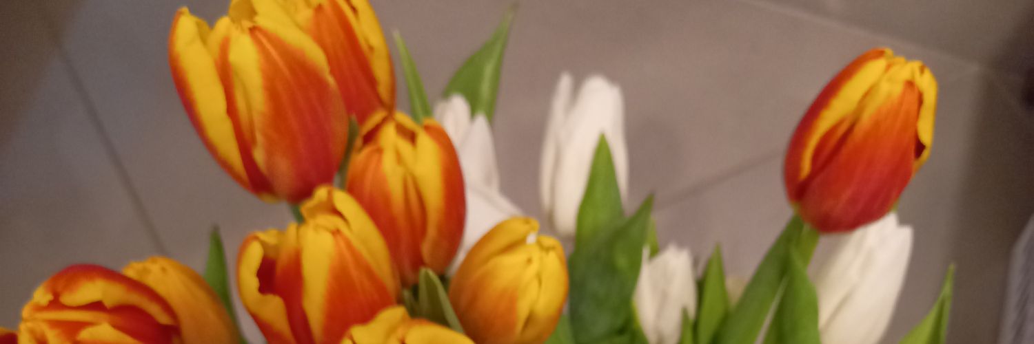 Jagna banner