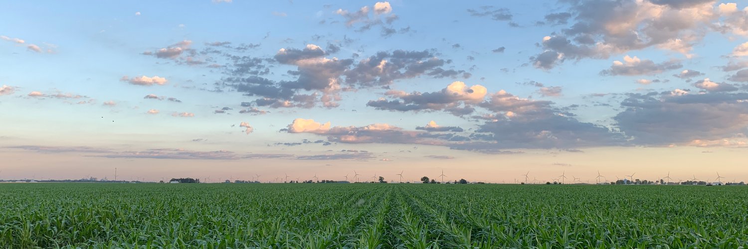 Michael O'Donnell banner