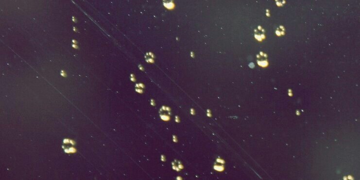 POstrich40's profile banner image