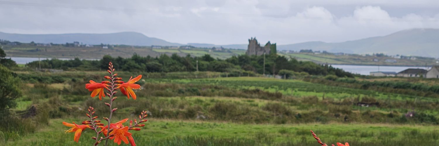 dunneteach's profile banner image