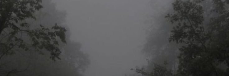 ℂ𝕠𝕝𝕖_ℂ ( ผปค.ป่วย ) banner