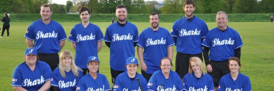 SeftonSharksSoftball banner