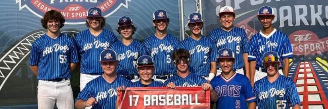 Ohio Hit Dogs 17u banner