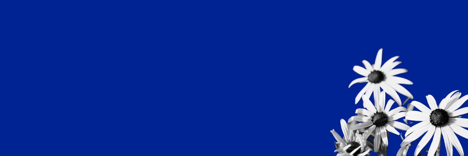 AmandaMLayman's profile banner image
