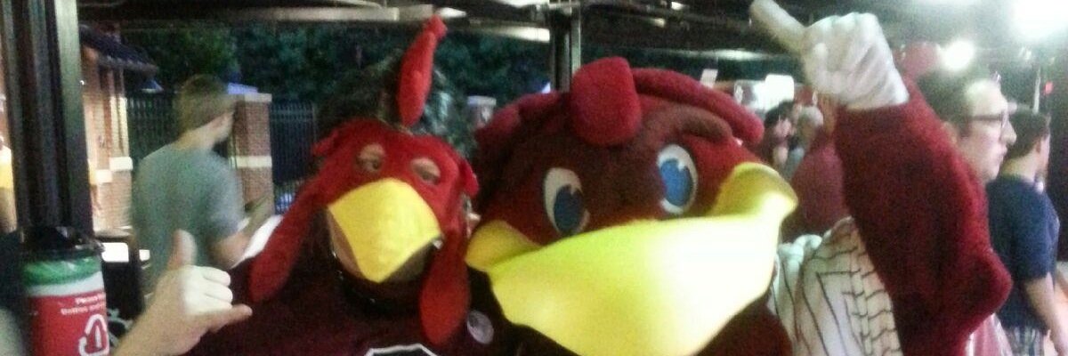 TheSuperCock's profile banner image