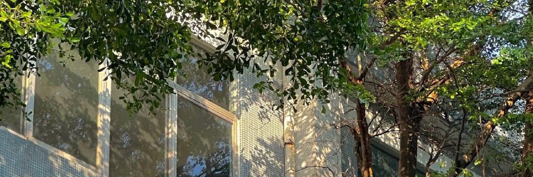 짱변🎐🪷 banner