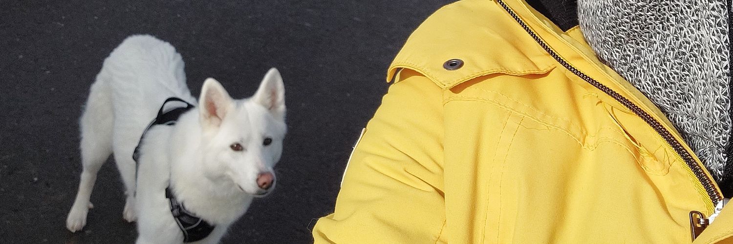 EllaRonii's profile banner image