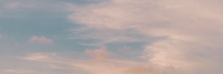 mico banner