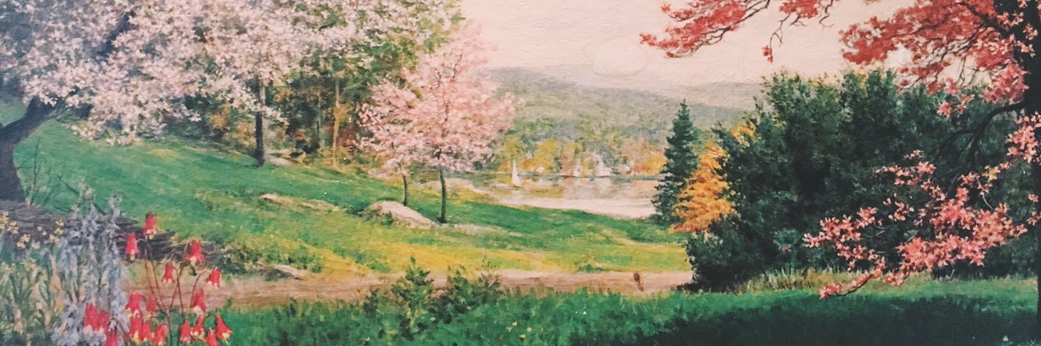themarkhaugen's profile banner image
