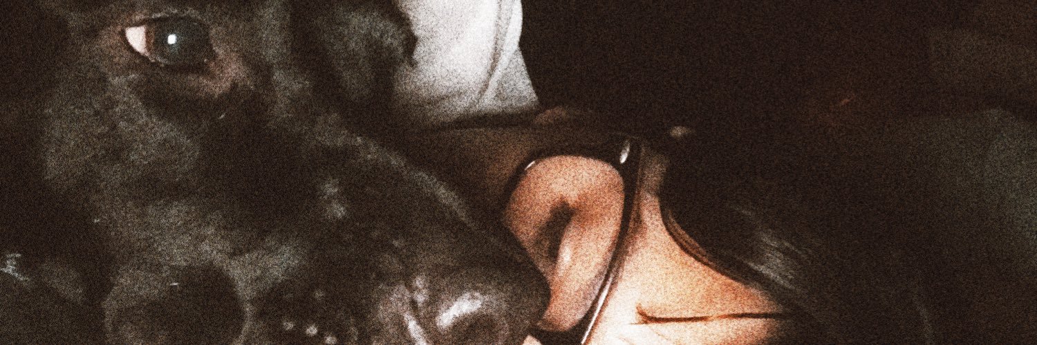 Celerolandi's profile banner image